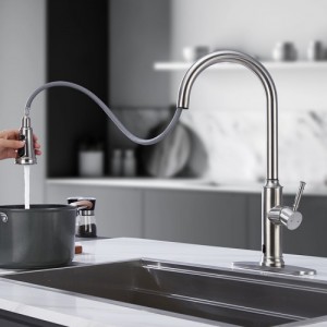 What are the shopping points for kitchen faucets?