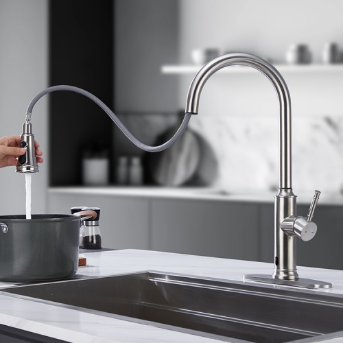 kitchen faucet design